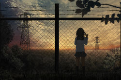 Rule 34 | 1girl, aya (star), bad id, bad pixiv id, barbed wire, black hair, chain-link fence, cloud, fence, from behind, md5 mismatch, original, power lines, resolution mismatch, scenery, school uniform, serafuku, short hair, skirt, socks, solo, sunset, transmission tower