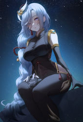 Rule 34 | 1girl, absurdres, black gloves, blue eyes, blush, bodysuit, braid, breasts, clothing cutout, covered navel, elbow gloves, genshin impact, gloves, hair ornament, hair over one eye, highres, hip vent, large breasts, long hair, long sleeves, looking at viewer, low-braided long hair, low-tied long hair, mohaka (m 0haka), night, night sky, parted bangs, partially fingerless gloves, puffy long sleeves, puffy sleeves, shenhe (genshin impact), shoulder cutout, silver hair, sitting, sky, solo, star (sky), starry sky, tabard, tassel, thighs, very long hair