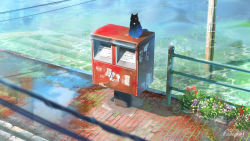 Rule 34 | black cat, blurry foreground, cat, hachiya shohei, highres, original, outdoors, plant, post office, potted plant, power lines, puddle, scenery, signature, stairs, water