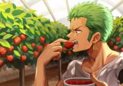 Rule 34 | 1boy, bad id, bad twitter id, between fingers, bowl, bush, commentary request, earrings, eating, flower, food, fruit, green hair, highres, holding, holding bowl, holding food, holding fruit, jewelry, lower teeth only, male focus, oekakiboya, one piece, open mouth, roronoa zoro, shirt, short hair, solo, strawberry, strawberry blossoms, teeth, upper teeth only