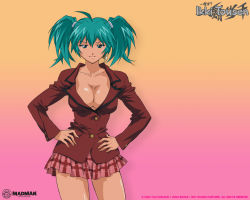 Rule 34 | 00s, breasts, cleavage, green hair, ikkitousen, ryofu housen, simple background, tagme, wallpaper