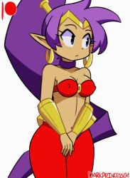 Rule 34 | 1girl, animated, animated gif, bandeau lift, blush, bouncing breasts, breasts, cleft of venus, clothes pull, darkprincess04, flashing, heart, jewelry, medium breasts, navel, nipples, pants, pants pull, pubic hair, pussy, shantae, shantae (series), surprised, uncensored
