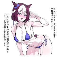 Rule 34 | 1girl, abs, animal ears, arm up, armpits, bare shoulders, bikini, blush, bow, braid, breasts, brown hair, commentary request, cowboy shot, ear bow, french braid, hair between eyes, highres, horse ears, horse girl, horse tail, leaning forward, looking at viewer, medium breasts, multicolored hair, muscular, navel, open mouth, purple bikini, purple bow, short hair, side-tie bikini bottom, simple background, smile, solo, special week (umamusume), streaked hair, striped hair, sweat, swimsuit, tail, thighs, translation request, two-tone hair, umamusume, white background, white hair, yaki apple