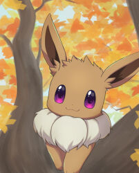 Rule 34 | :3, absurdres, animal focus, autumn leaves, closed mouth, creatures (company), eevee, fur collar, game freak, gen 1 pokemon, happy, highres, in tree, looking at viewer, mochizuki reiji, nintendo, no humans, outdoors, pokemon, pokemon (creature), purple eyes, smile, solo, tree, upper body