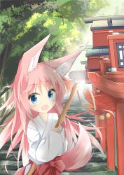 Rule 34 | 1girl, :d, animal ears, bell, blue eyes, blush, broom, commentary request, day, fox ears, fox girl, fox tail, hakama, hakama skirt, head tilt, highres, holding, holding broom, japanese clothes, jingle bell, kushida you, long sleeves, looking at viewer, miko, moe2016, multiple torii, open mouth, original, outdoors, pink hair, red hakama, skirt, sleeves past wrists, smile, solo, stairs, stone stairs, tail, torii, tree, wide sleeves