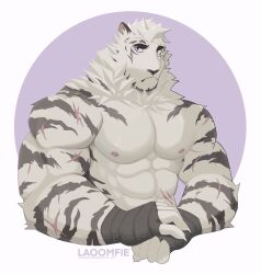 Rule 34 | 1boy, abs, arknights, bara, bare pectorals, furry, furry male, highres, laoomfie, looking at viewer, male focus, mountain, multiple scars, pectorals, scar, scar across eye, scar on arm, scar on face, scar on leg, signature, simple background, solo, striped, topless male, upper body, white background