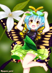 Rule 34 | 1girl, antennae, aqua hair, barefoot, blush, butterfly wings, dress, eternity larva, fairy, flower, foot out of frame, green dress, hair between eyes, highres, insect wings, leaf, leaf on head, multicolored clothes, multicolored dress, open mouth, short hair, single strap, smile, solo, touhou, twitter username, white flower, wings, yellow eyes, yuyumi (yuurei)