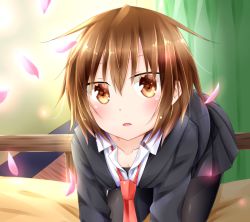 Rule 34 | 10s, 1girl, all fours, black jacket, black pantyhose, black skirt, blazer, blush, breasts, brown eyes, brown hair, cherry blossoms, collarbone, dani (kamenoaru), hair between eyes, highres, indoors, jacket, kantai collection, looking at viewer, necktie, on bed, open mouth, pantyhose, petals, pleated skirt, red necktie, school uniform, shirt, short hair, skirt, small breasts, solo, wakaba (kancolle)