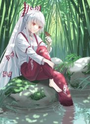 Rule 34 | 1girl, arm garter, arm up, baggy pants, bamboo, bamboo forest, barefoot, bird, bird on hand, blunt bangs, blush, bow, closed mouth, collared shirt, day, eyelashes, forest, fujiwara no mokou, grass, hair bow, hand on own leg, highres, light smile, long hair, long sleeves, moss, nanasuou, nature, ofuda, ofuda on clothes, pants, red eyes, reflection, ripples, river, rock, shirt, sitting, sitting on rock, smile, solo, sparrow, suspenders, touhou, two-tone bow, very long hair, white hair, wing collar