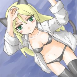 Rule 34 | 1girl, animal ears, black bra, black thighhighs, blonde hair, blush, bra, breasts, cat ears, cat tail, cleavage, collarbone, collared shirt, from above, green eyes, heinrike prinzessin zu sayn-wittgenstein, higezamurai (kurage gunsou), leaning back, long hair, long sleeves, msgtkurage, navel, noble witches, open clothes, shirt, sitting, solo, strike witches, tail, thighhighs, underwear, world witches series