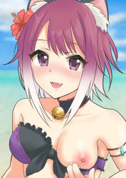 Rule 34 | 1girl, breasts, large breasts, nipples, otoufu barricade, princess connect!, princess connect! re:dive, swimsuit, unworn swimsuit, tagme, tamaki (princess connect!)