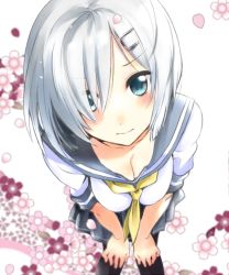 Rule 34 | 10s, 1girl, bad id, bad pixiv id, blue eyes, blush, breasts, cleavage, flower, hair ornament, hair over one eye, hairclip, hamakaze (kancolle), kantai collection, leaning forward, looking at viewer, natsupa, pantyhose, personification, school uniform, serafuku, shirt, short hair, skirt, solo, tsurime, wavy mouth, white background, white shirt