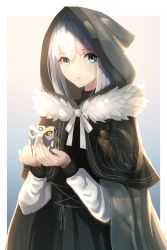 Rule 34 | 1girl, absurdres, black dress, blue eyes, boa sorte, cape, dress, fate (series), gray (fate), grey cape, hair between eyes, highres, holding, hood, hood down, hooded, long sleeves, looking at viewer, lord el-melloi ii case files, neck ribbon, ribbon, short hair, silver hair, solo, standing, white background, white ribbon