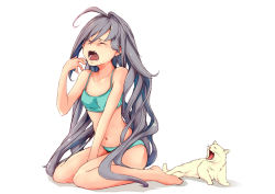 Rule 34 | 1girl, 1other, ahoge, animal, bare arms, bare shoulders, barefoot, breasts, cat, commentary request, full body, grey hair, hair between eyes, kantai collection, kiyoshimo (kancolle), long hair, navel, open mouth, rizzl, simple background, sitting, small breasts, underwear, underwear only, very long hair, wariza, white background, white cat, yawning