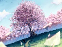 Rule 34 | artist request, cherry blossoms, grass, lying, sitting, sky, source request, tagme, tree, wind