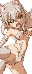Rule 34 | 1girl, animal ears, ass, blue eyes, blush, breasts, cameltoe, crotch, erakin, fang, girls und panzer, highres, itsumi erika, long hair, looking at viewer, navel, open mouth, simple background, small breasts, solo, tail, white background, white hair, wolf ears, wolf girl, wolf tail