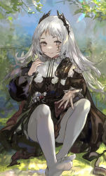 Rule 34 | 1girl, absurdres, arknights, belt, black dress, brown eyes, closed mouth, day, dress, facial mark, feet, hair ornament, hand on own chest, highres, irene (arknights), lens flare, long hair, long sleeves, looking at viewer, no shoes, on grass, on ground, outdoors, outstretched hand, pantyhose, qianzhu, scar, scar across eye, scar on face, silver hair, sitting, smile, solo, sparkle, spread fingers, toes, white pantyhose