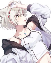 Rule 34 | 1girl, animal ears, arm up, bare shoulders, blush, breasts, camisole, cat ears, chest jewel, cleavage, collarbone, fingerless gloves, gloves, grey hair, hand up, long hair, looking at viewer, midriff, mio (xenoblade), navel, open mouth, parted lips, red camisole, sephikowa, short hair, signature, simple background, small breasts, solo, stomach, white background, white gloves, xenoblade chronicles (series), xenoblade chronicles 3