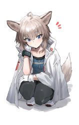 Rule 34 | 1girl, ahoge, animal ear fluff, animal ears, arknights, black pantyhose, blouse, blue eyes, blue shirt, blush, brown hair, closed mouth, collarbone, commentary request, fox ears, fox girl, fox tail, full body, gloves, hair between eyes, hand up, highres, horn/wood, infection monitor (arknights), jacket, looking at viewer, notice lines, pantyhose, shadow, shirt, shoes, solo, squatting, sussurro (arknights), tail, white background, white footwear, white gloves, white jacket