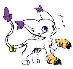 Rule 34 | animal ears, cat, cat ears, digimon, digimon (creature), gloves, holy ring, tail, tailmon