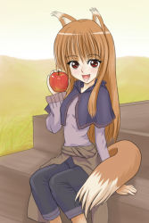 Rule 34 | 00s, animal ears, apple, brown hair, fang, food, fruit, holo, ishikkoro, long hair, red eyes, solo, spice and wolf, tail, wolf ears, wolf tail