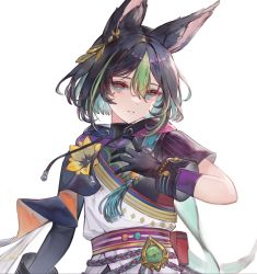 Rule 34 | 1boy, animal ear fluff, animal ears, bag, belt, black cape, black gloves, black hair, blue eyes, cape, closed mouth, commentary request, earrings, flower, fox boy, fox ears, gem, genshin impact, gloves, gold, green gemstone, green hair, hair between eyes, hand on own face, hand up, henikuki, highres, hood, jewelry, leaf earrings, long sleeves, looking at viewer, male focus, multicolored clothes, multicolored hair, pom pom (clothes), purple belt, purple shirt, red bag, shirt, short sleeves, simple background, single earring, solo, striped clothes, striped shirt, teeth, tighnari (genshin impact), two-tone hair, upper body, vision (genshin impact), white background, white shirt, yellow flower