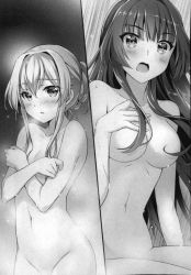 Rule 34 | 2girls, ayase miharu, breasts, celia claire, cleavage, collarbone, covering privates, covering breasts, floating hair, greyscale, hair between eyes, hair censor, hair over breasts, highres, long hair, medium breasts, monochrome, multiple girls, novel illustration, nude, official art, open mouth, out-of-frame censoring, riv (rivleaf), scan, seirei gensouki, sidelocks, sitting, small breasts, split screen, standing, very long hair