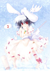 Rule 34 | 1girl, ai takurou, animal, animal ears, barefoot, rabbit, rabbit ears, dress, female focus, inaba tewi, looking at viewer, musical note, puffy short sleeves, puffy sleeves, red eyes, short sleeves, silver hair, solo, speech bubble, spoken musical note, standing, touhou, white dress