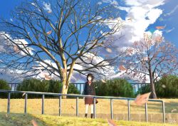 Rule 34 | 1girl, autumn, autumn leaves, black jacket, blazer, blue sky, bow, brown eyes, brown hair, brown skirt, cloud, cloudy sky, commentary request, grass, highres, jacket, leaf, original, outdoors, pleated skirt, red bow, school uniform, short hair, shurock, skirt, sky, solo, tree