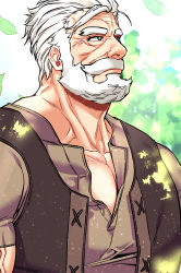 Rule 34 | 1boy, bara, bare pectorals, beard, blurry, blurry background, collared shirt, facial hair, green eyes, jacket, leaf, leopold (senjuushi), liebling, looking to the side, male focus, manly, mature male, muscular, muscular male, old, old man, outdoors, pectorals, shirt, sleeveless, sleeveless jacket, solo, thick eyebrows, tree, user cesh5454, white hair