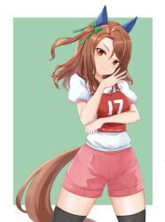 Rule 34 | 1girl, animal ears, black thighhighs, bow, brown hair, character name, closed mouth, commentary, cowboy shot, ear covers, green background, green bow, gym shirt, gym shorts, gym uniform, hair bow, head tilt, highres, horse ears, horse girl, horse tail, kemuri (etep3372), king halo (umamusume), long hair, looking at viewer, one side up, pink shorts, race bib, red eyes, shirt, short sleeves, shorts, smile, solo, standing, swept bangs, tail, thighhighs, translated, umamusume, white shirt