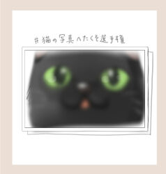 Rule 34 | :3, :d, black cat, black eyes, blurry, border, cat, chibi, colored sclera, commentary request, highres, looking at viewer, no humans, open mouth, original, photo (object), pink border, simple background, smile, translation request, triangle mouth, whiskers, white background, yellow sclera, yukimaru nun