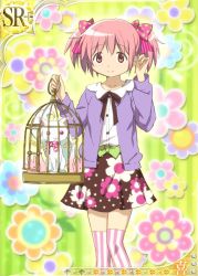 Rule 34 | 10s, 1girl, alternate costume, birdcage, bow, cage, cardigan, casual, flower, hair bow, holding, kaname madoka, kyubey, mahou shoujo madoka magica, mahou shoujo madoka magica plus, official art, pink eyes, pink hair, ribbon, skirt, smile, striped clothes, striped thighhighs, thighhighs, trading card, twintails, vertical-striped clothes, vertical-striped thighhighs