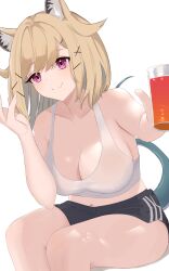Rule 34 | 1girl, absurdres, animal ear fluff, arknights, binware, black shorts, blue tail, breasts, cleavage, cup, fang, highres, holding, holding cup, large breasts, light brown hair, purple eyes, short hair, shorts, simple background, sitting, skin fang, smile, solo, utage (arknights), vest, white background, white vest