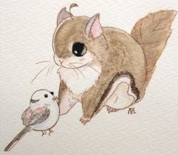 Rule 34 | ahoge, animal, animal focus, antenna hair, bird, black eyes, bow, bowtie, closed mouth, commentary request, fluefluekoubo26, highres, long-tailed tit, looking at another, no humans, original, painting (medium), signature, simple background, squirrel, tit (bird), traditional media, watercolor (medium), white background