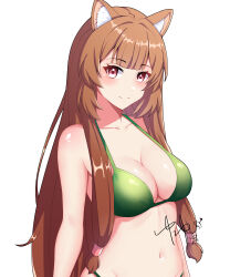 Rule 34 | 1girl, absurdres, alternate costume, animal ear fluff, animal ears, bikini, blunt bangs, blush, breasts, brown hair, cchou, cleavage, closed mouth, commentary, green bikini, hair tubes, highres, light smile, long hair, looking at viewer, medium breasts, raccoon ears, raccoon girl, raphtalia, red eyes, signature, simple background, solo, stomach, swimsuit, tate no yuusha no nariagari, upper body, white background