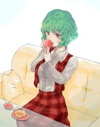 Rule 34 | 1girl, cake, collared shirt, colored eyelashes, couch, drinking, food, glass table, green hair, honi (honix3), kazami yuuka, long skirt, long sleeves, looking at viewer, open clothes, open vest, pillow, plaid, plaid skirt, plaid vest, plate, red eyes, red skirt, red vest, saucer, shirt, short hair, skirt, skirt set, solo, table, touhou, vest, wavy hair, white shirt