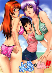 Rule 34 | 3girls, adjusting clothes, adjusting swimsuit, armpits, ass, ayane (doa), beach, bikini, black hair, breasts, butt crack, camisole, cleavage, cloud, cover, covered erect nipples, day, dead or alive, denim, denim skirt, headband, highres, kasumi (doa), large breasts, lei fang, lipstick, long hair, looking back, makeup, miniskirt, multiple girls, non-web source, ocean, open mouth, outdoors, pencil skirt, purple hair, red eyes, red hair, seishinja, short hair, skirt, sky, striped bikini, striped clothes, swimsuit, tecmo, thigh gap, thighs