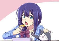 Rule 34 | 1girl, blue eyes, blue jacket, blush, bow, cat, eating, food, food request, hair bow, holding, ishii hisao, jacket, long sleeves, omelet, open clothes, open jacket, plaid, plaid jacket, purple hair, red bow, senno inori, senno inori project, shirt, solo, teeth, upper teeth only, virtual youtuber, white shirt