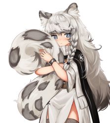 Rule 34 | 1girl, absurdres, animal ears, animal print, arknights, belt, black cape, blue eyes, blush, braid, bright pupils, brown belt, cape, closed mouth, commentary, cowboy shot, dot nose, dress, english commentary, grey hair, highres, hugging own tail, hugging tail, klaius, leopard ears, leopard print, leopard tail, long hair, long tail, looking at viewer, pramanix (arknights), side braid, simple background, solo, standing, tail, thighhighs, white background, white dress, white pupils, wristband