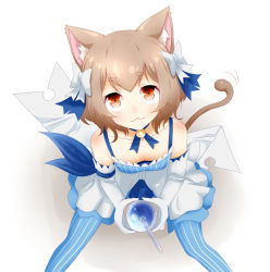 Rule 34 | 10s, 1boy, :3, animal ears, arm ribbon, bare shoulders, bendy straw, blue neckwear, blue ribbon, blue thighhighs, bob cut, body blush, bolo tie, bow, brown eyes, brown hair, cat boy, cat ears, cat tail, choker, closed mouth, collarbone, commentary, dot nose, dot pupils, downblouse, dress, dress bow, drink, drinking straw, elbow gloves, felix argyle, from above, gloves, hair bow, hair ribbon, highres, jewelry, large bow, layered dress, looking at viewer, looking up, male focus, motion lines, parted bangs, pendant, re:zero kara hajimeru isekai seikatsu, ribbon, shika tsui, short dress, short hair, simple background, sitting, sleeveless, sleeveless dress, smile, solo, spaghetti strap, spread legs, striped clothes, striped dress, striped thighhighs, tail, thighhighs, trap, vertical-striped clothes, vertical-striped dress, vertical-striped thighhighs, white background, white bow, white dress, white gloves