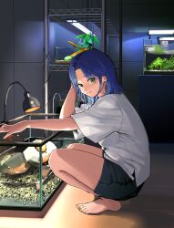 Rule 34 | 1girl, absurdres, barefoot, black shorts, blue hair, closed mouth, commentary, desk lamp, feet, fish tank, full body, green eyes, hand up, highres, indoors, lamp, mmmo3, nail polish, orange nails, original, parted bangs, shadow, shirt, short sleeves, shorts, sidelocks, smile, solo, squatting, symbol-only commentary, t-shirt, thighs, toenail polish, toenails, toes, white shirt