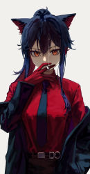 Rule 34 | 1girl, absurdres, animal ears, arknights, black hair, black necktie, blouse, cigarette, collared shirt, gloves, hair between eyes, hand up, highres, jacket, long hair, looking at viewer, necktie, open clothes, open jacket, orange eyes, ponytail, red gloves, red shirt, shirt, sidelocks, simple background, slit pupils, smoking, solo, texas (arknights), texas (willpower) (arknights), upper body, white background, wolf ears, wolf girl, yoon cook
