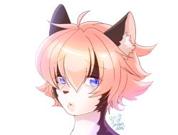 Rule 34 | androgynous, blue eyes, cat, ehime mikan, furry, gender request, lips, pink hair, short hair, simple background, solo, white background