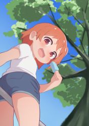 Rule 34 | 1girl, :d, blue shorts, blue sky, blush, brown eyes, brown hair, child, commentary request, day, fang, food, from behind, from below, gym shirt, gym shorts, gym uniform, hatafuta, holding, holding food, hoshino hinata, looking at viewer, looking back, on railing, open mouth, popsicle, railing, shirt, short sleeves, shorts, sitting, sky, smile, solo, tree, watashi ni tenshi ga maiorita!, white shirt