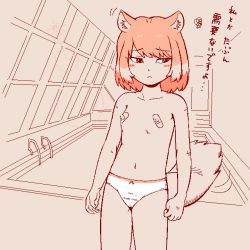 Rule 34 | 1girl, animal ear fluff, animal ears, bandaid, bandaids on nipples, breasts, commentary request, fox ears, fox girl, fox tail, frown, indoors, kemono friends, looking to the side, navel, nochi tech, panties, pasties, pool, pool ladder, poolside, rei no pool, short hair, small breasts, solo, standing, tail, tibetan fox (kemono friends), underwear, window