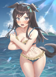 Rule 34 | 1girl, @ @, animal ears, bikini, black hair, blush, breasts, cleavage, collarbone, commentary request, covering privates, covering breasts, hair between eyes, hair ornament, hairclip, highres, horse ears, horse girl, horse tail, lens flare, long hair, medium breasts, mejiro dober (umamusume), navel, ocean, open mouth, oshage (osyage921), purple eyes, sky, solo, swimsuit, tail, umamusume, wardrobe malfunction