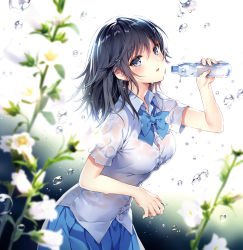 Rule 34 | 1girl, black hair, blouse, blue bow, blue skirt, blurry, blurry foreground, bottle, bow, breasts, collared shirt, commentary request, depth of field, dress shirt, flower, from side, grey eyes, hair between eyes, hand up, head tilt, highres, holding, holding bottle, long hair, looking at viewer, looking to the side, nardack, original, parted lips, pleated skirt, see-through, shirt, short sleeves, skirt, small breasts, solo, water bottle, water drop, wet, wet clothes, wet shirt, white flower, white shirt