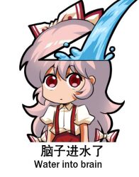 Rule 34 | 1girl, bilingual, bow, chibi, chinese text, english text, engrish text, fujiwara no mokou, hair bow, jokanhiyou, meme, mixed-language text, pants, puffy short sleeves, puffy sleeves, ranguage, red pants, short sleeves, simple background, simplified chinese text, solo, suspenders, touhou, translation request, water, white background, white bow