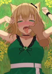 Rule 34 | 1girl, absurdres, animal ears, arknights, armpits, arms up, belt, black choker, black ribbon, blonde hair, blush, breasts, cheek pull, choker, cleavage, collarbone, commentary, day, disembodied limb, dog ears, dog girl, dress, drooling, finger in another&#039;s mouth, flower, from above, grass, green dress, green eyes, hair between eyes, hair ribbon, half-closed eyes, highres, long hair, looking at viewer, lying, medium breasts, noe (ppppriver), official alternate costume, on back, open mouth, outdoors, podenco (arknights), podenco (wake up from a nap) (arknights), pov, ribbon, saliva, saliva trail, scrunchie, shadow, sleeveless, sleeveless dress, snot, solo focus, tearing up, tears, teeth, tongue, tongue out, upper body, uvula, white belt, wrist scrunchie, yellow flower
